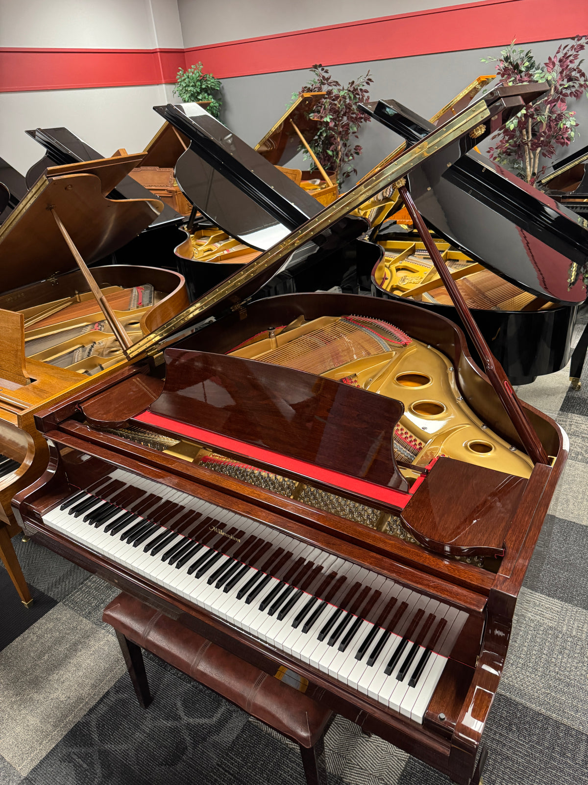 Used Millennium Baby Grand - Polished Brown