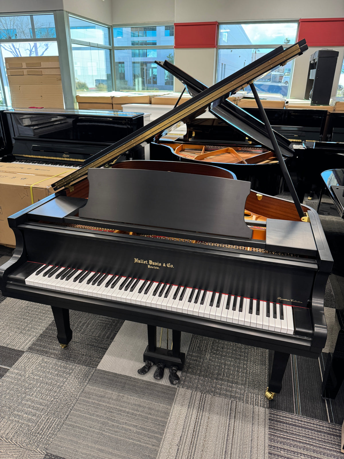 NEW HALLET DAVIS GP160/ES 5'3" BABY GRAND