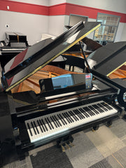 NEW DANEMANN 158 5'2" BABY GRAND PIANO